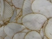 TJ300 Kesme Kalıbı