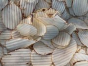 TJ300 Kesme Kalıbı